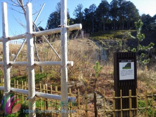 長篠・設楽原の合戦時に効果を発揮したと言われる馬防柵