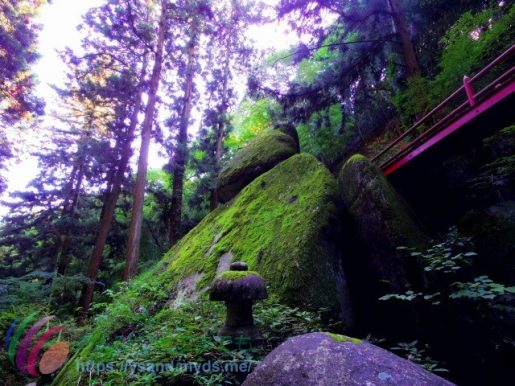 名草厳島神社の不思議な石