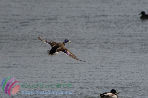 DSC_2024_0101_0987_4680