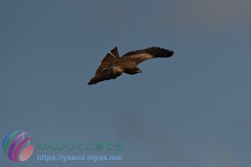 DSC_2024_0101_1083_4685