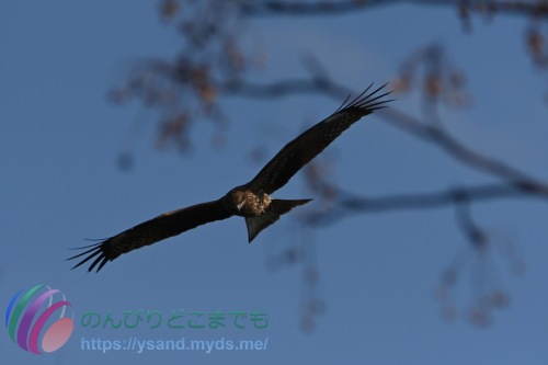 DSC_2024_0101_1099_4688
