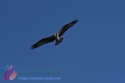 DSC_2024_0101_1191_4697