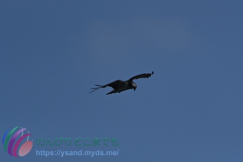 DSC_2024_0101_1249_4699