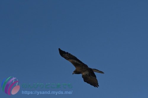DSC_2024_0101_1256_4700