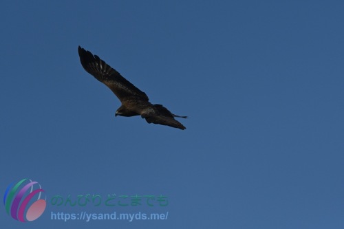 DSC_2024_0101_1257_4701