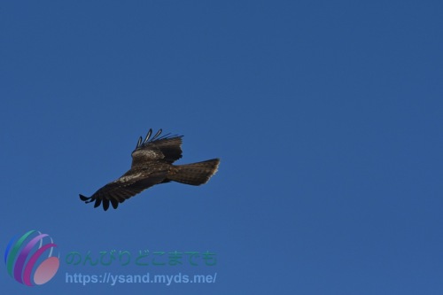 DSC_2024_0101_1274_4703
