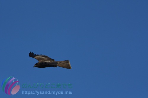 DSC_2024_0101_1276_4704