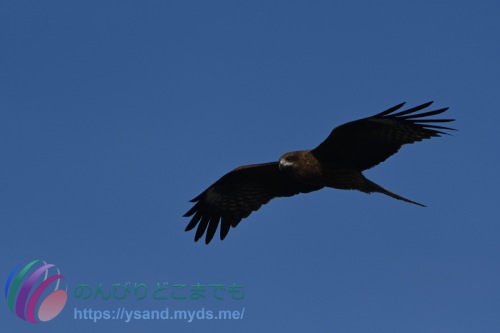 DSC_2024_0101_1288_4706