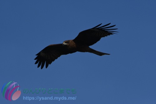 DSC_2024_0101_1289_4707