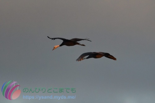 DSC_2024_0102_1905_4744