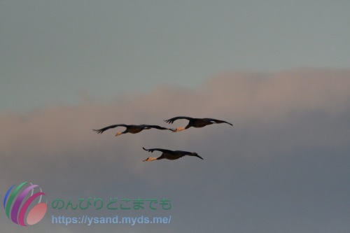 DSC_2024_0102_2173_4752