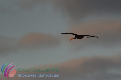 DSC_2024_0102_2391_4757