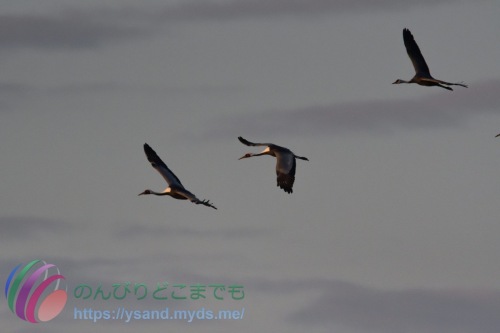 DSC_2024_0102_2506_4765