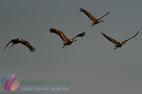 DSC_2024_0102_2518_4766