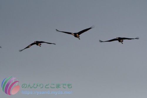 DSC_2024_0102_3005_4771