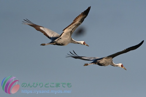 DSC_2024_0102_3183_4776