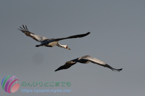 DSC_2024_0102_3188_4777
