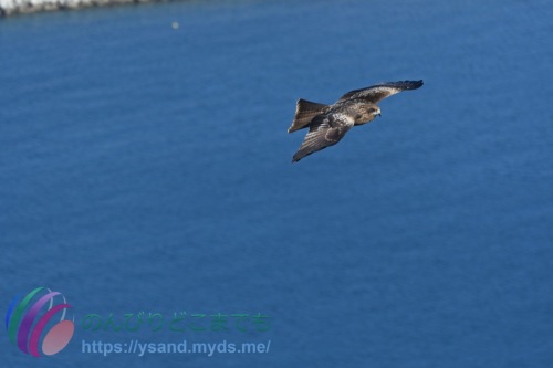 DSC_2024_0102_3439_4801
