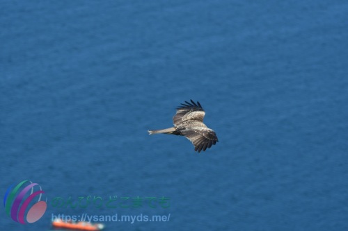 DSC_2024_0102_3442_4803