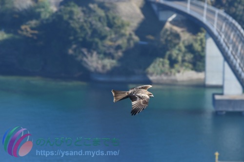 DSC_2024_0102_3450_4808