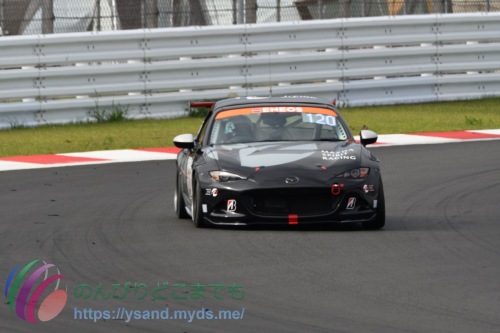 DSC_2341_2124_3391