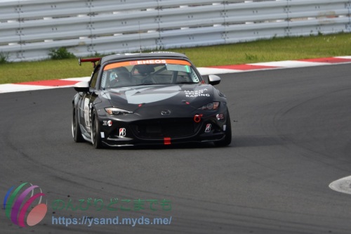 DSC_2531_2200_3467